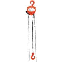 Chain Hoist, 10' Lift, 2000 lbs. (1 tons) Capacity, Alloy Steel Chain Ottawa Fastener Supply