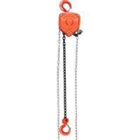 Chain Hoist, 20' Lift, 1000 lbs. (0.45 tons) Capacity, Alloy Steel Chain Ottawa Fastener Supply