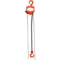 Chain Hoist, 20' Lift, 1000 lbs. (0.45 tons) Capacity, Alloy Steel Chain Ottawa Fastener Supply