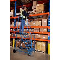 CSA-Certified Rolling Step Ladder, 5 Steps, 22" Step Width, 46" Platform Height, Steel Ottawa Fastener Supply