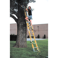 Industrial Heavy-Duty Extension Ladders (6200 Series), 375 lbs. Cap., 13' H, Grade 1AA Ottawa Fastener Supply