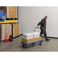 Platform Cart, 48" L x 24" W, 1500 lbs. Capacity, Mold-on Rubber Casters MF987 | Ottawa Fastener Supply