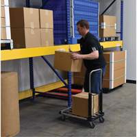 Fold-Up Platform Truck, Stainless Steel, 300 lbs., 28" L x 16" W, 33-1/2" High Ottawa Fastener Supply