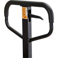 Manual Pallet Truck, Steel, 48" L x 21" W, 5500 lbs. Capacity Ottawa Fastener Supply