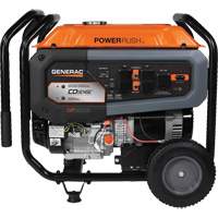 Portable Generator with COsense<sup>®</sup> Technology, 10000 W Surge, 8000 W Rated, 120 V/240 V, 7.9 gal. Tank NAA171 | Ottawa Fastener Supply