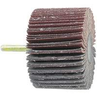 Disque &agrave; lamelles mont&eacute; sur mandrin, Grain 60, 1-1/2" x 1/4" Ottawa Fastener Supply