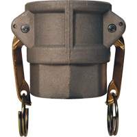 Global Cam & Groove Coupler, Aluminum, Type D, 2", Female NPT, 250 PSI Ottawa Fastener Supply