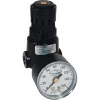 Wilkerson Miniature Regulator R04, 1/4" NPT, 300 psi Max. PSI, Standard Ottawa Fastener Supply