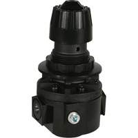 Wilkerson Regulator R26, 3/8" NPT, 300 psi Max. PSI, Standard Ottawa Fastener Supply
