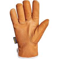 Endura&reg; Gloves, Large, Synthetic Palm, Thinsulate Inner Lining Ottawa Fastener Supply