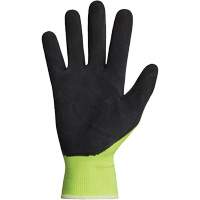 Dexterity&reg; Coated Gloves, 10, Latex Coating, 13 Gauge, Polyester Shell Ottawa Fastener Supply