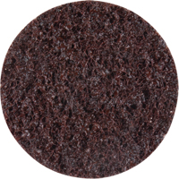 Standard Abrasives Surface Conditioning Discs, 2" Dia., Coarse Grit Ottawa Fastener Supply