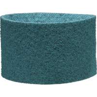 Scotch-Brite Surface Conditioning Belt Ottawa Fastener Supply
