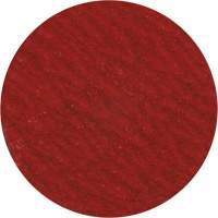 Disque de ponçage 3" &agrave; support verrouillable, 3" dia., Grain 36, C&eacute;ramique Ottawa Fastener Supply