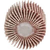 Flap Disc 747D, Aluminum Oxide/Ceramic, 80 Grit, 1" x 1" x 1/4" Ottawa Fastener Supply