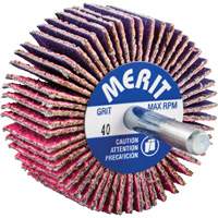 Shank Mounted Mini Flap Wheel, Ceramic Alumina, 40 Grit, 2" x 1" x 1/4" Ottawa Fastener Supply