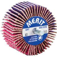 Threaded Mini Flap Wheel, Ceramic Alumina, 40 Grit, 2" x 1" x 1/4"-20 Ottawa Fastener Supply