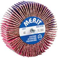 Threaded Mini Flap Wheel, Ceramic Alumina, 40 Grit, 3" x 1" x 1/4"-20 Ottawa Fastener Supply