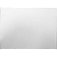 Plaque de s&eacute;curit&eacute; int&eacute;rieure/ext&eacute;rieure ArcOne pour masques Ottawa Fastener Supply