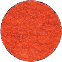 Blaze R980P Quick-Change Cloth Disc, 2" Dia., 36 Grit, Ceramic Alumina Ottawa Fastener Supply