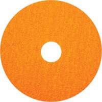 BlazeX F980 Fiber Disc, Ceramic Alumina, 36, 5" Dia x 7/8" Arbor Ottawa Fastener Supply