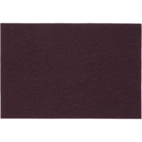 Tampons manuels Bear-Tex, Oxyde d'aluminium, 6" x 9", Grain Tr&egrave;s fin Ottawa Fastener Supply