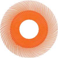 Scotch-Brite Type C Precision Radial Bristle Brush PN-RB without Adapter, Ceramic, 80+ Grit, 6" Dia. Ottawa Fastener Supply