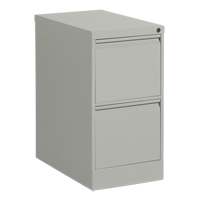 Vertical Filing Cabinet, Steel, 2 Drawers, 15-1/7" W x 25" D x 29" H, Grey Ottawa Fastener Supply
