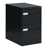 Vertical Filing Cabinet with Recessed Drawer Handles, 2 Drawers, 18.15" W x 26.56" D x 29" H, Black OTE611 | Ottawa Fastener Supply