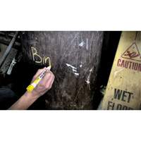 Quik Stik&reg; Twist-Up Paint Markers, Solid Stick, White Ottawa Fastener Supply