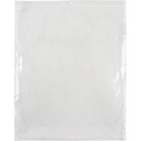 Poly Bags, Reclosable, 15" x 12", 2 mils PF961 | Ottawa Fastener Supply