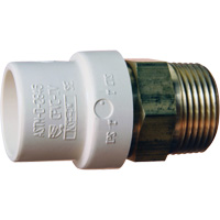 Adaptateur de tuyau filet&eacute;, Noeud x MPT, 1" dia., Laiton/PVC-C Ottawa Fastener Supply