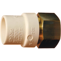 Adaptateur de tuyau filet&eacute;, Noeud x FPT, 1" dia., Laiton/PVC-C Ottawa Fastener Supply
