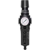 Filtre/r&eacute;gulateur drain manuel avec bol en m&eacute;tal Modulair 300, 1/4" NPT, 250 PSI, Capacit&eacute; de 5,1 oz liq. Ottawa Fastener Supply