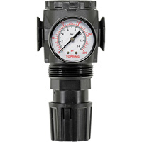 Regulator with Gauge Modulair 300, 1/4" NPT, 300 psi Max. PSI, In Line/Modular Ottawa Fastener Supply
