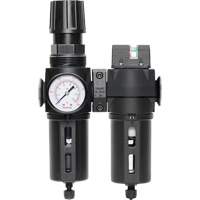 Filtre/d&eacute;tendeur & filtre coalescent Modulair 300 avec bol standard & drain manuel, 3/8" NPTF, 150 psi, Capacit&eacute; de 5,12 oz liq Ottawa Fastener Supply