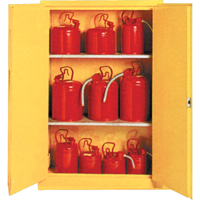 Armoires de sécurité isolées pour produits liquides inflammables, 30 gal., 2 Porte(s), 44" La x 45" h x 19" p SA087 | Ottawa Fastener Supply