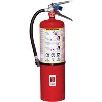Fire Extinguisher, ABC, 10 lbs. Capacity Ottawa Fastener Supply