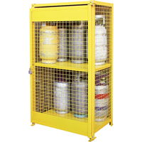 Gas Cylinder Cabinets, 12 Cylinder Capacity, 44" W x 30" D x 74" H, Yellow SAF847 | Ottawa Fastener Supply