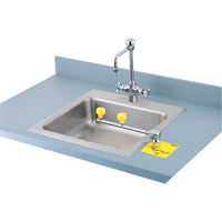 Swing-Away Eyewash Station, Counter-Mount Installation Ottawa Fastener Supply