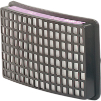 Protection respiratoire Speedglas - Filtres et cartouches de recharge, Filtre P100, Paquet de 2 Ottawa Fastener Supply