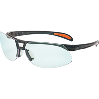 Lunettes de s&eacute;curit&eacute; Uvex Prot&eacute;g&eacute; Ultra-Dura, Lentille Transparent, Anti-&eacute;gratignures, ANSI Z87+/R&eacute;pond ou surpasse la norme CSA Z94.3 Ottawa Fastener Supply