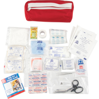 First Aid Kit, Class 1 Medical Device, Nylon Bag Ottawa Fastener Supply