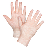 Economy Disposable Gloves, Large, Polyethylene, 1-mil, Powder-Free, Clear Ottawa Fastener Supply