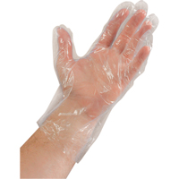Disposable Gloves, Large, Polyethylene, 0.02-mil, Powder-Free, Clear Ottawa Fastener Supply