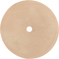 Survivair&reg; Inhalation Valve Ottawa Fastener Supply