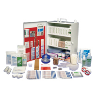 Workplace Deluxe First Aid Kits, Class 1 Medical Device, Metal Box Ottawa Fastener Supply