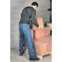 Bodybelt, Elastic, Small Ottawa Fastener Supply