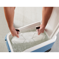 6215 Phase Change Packs for Cooling Vests Ottawa Fastener Supply