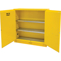 Armoire pour produits inflammables, 24 gal., 2 Porte(s), 43" La x 44" h x 12" p Ottawa Fastener Supply